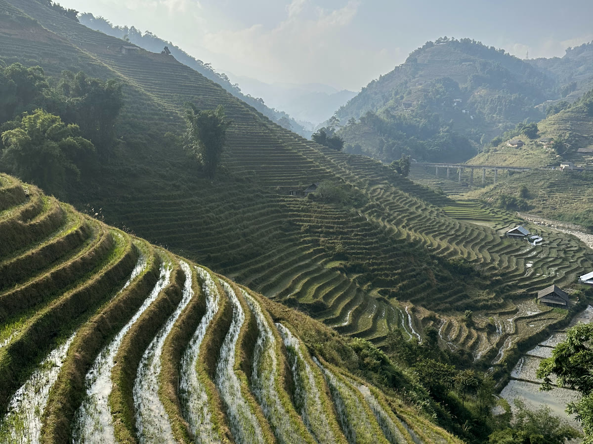 Rice terraces cascading down the valley near Sa Pa, Vietnam